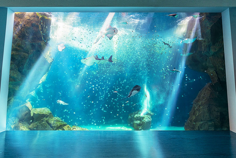 X-PARK、大溪威斯丁酒店二日