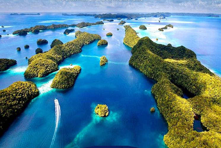 帛琉 幸福滿喫 5日│3天出海．解密私房景點．頂級度假村《加碼：超級鯊魚城、美牛漢堡王》